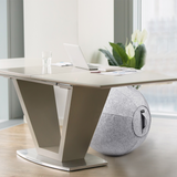 Luxurious Covered 65cm Stability Ball - For Ergonomic Seating, Therapy, and Exercise