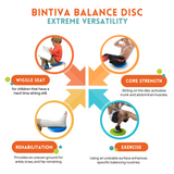 Bintiva Balance Disc - Wiggle Seat - 33cm