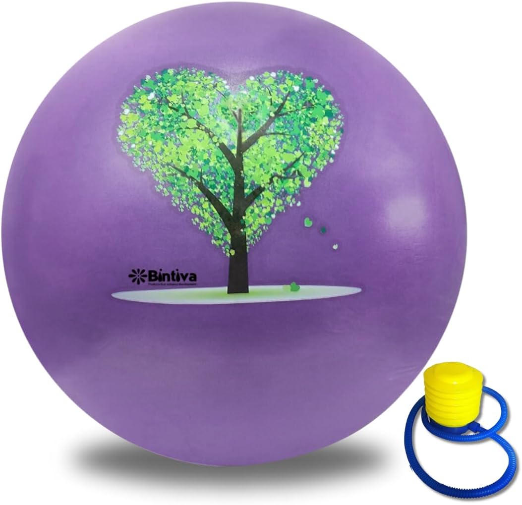 Stability Ball With Stabilizing Sand