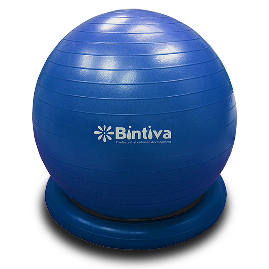 Ball Including Stability Ring - 65cm