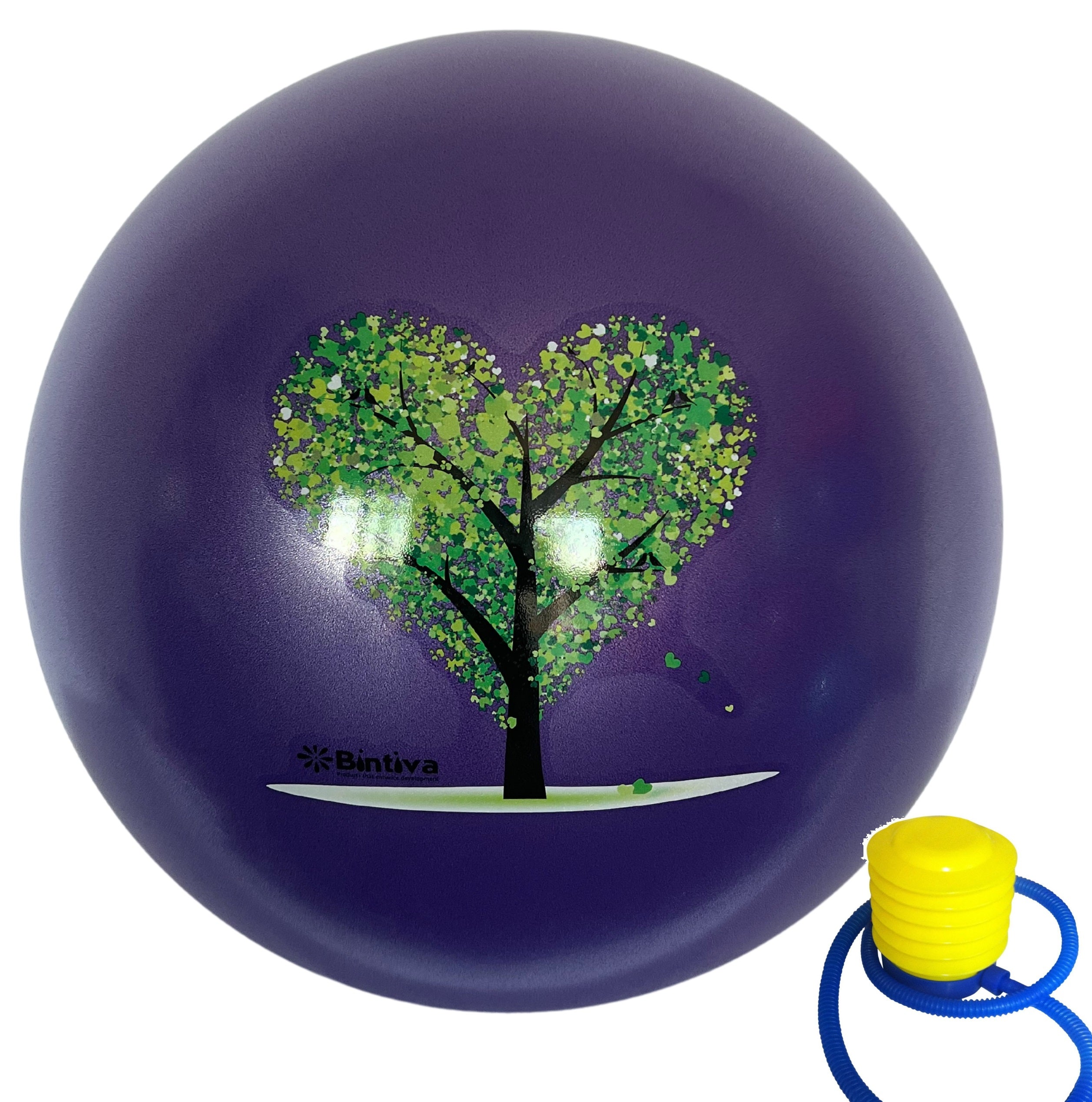 Stability ball with hot sale sand