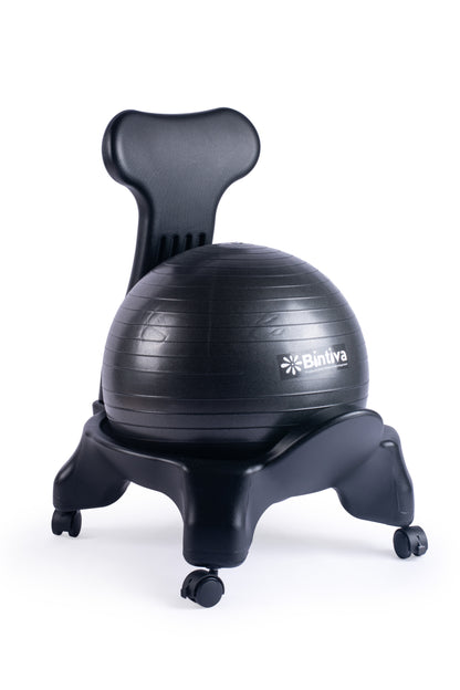 Stability Ball Chair