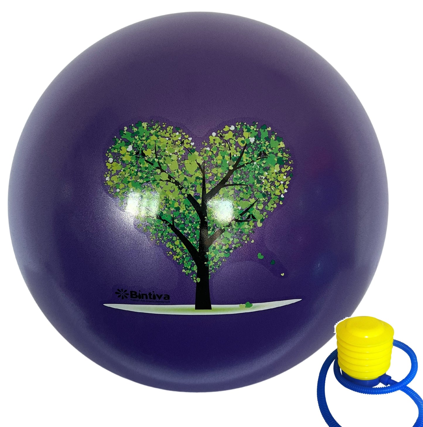 Stability Ball With Stabilizing Sand 65cm - Purple
