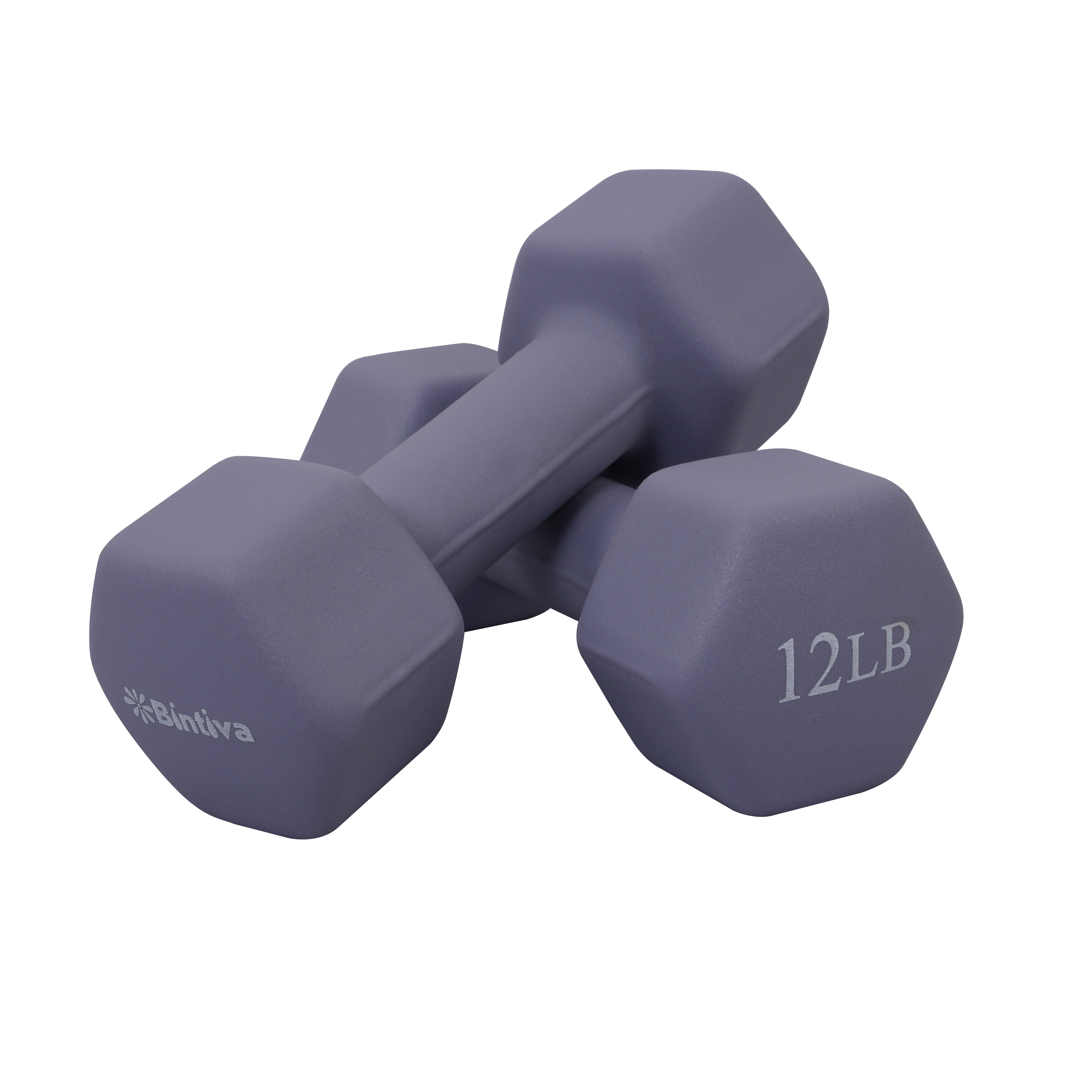 Body solid hex discount dumbbell 12 lb