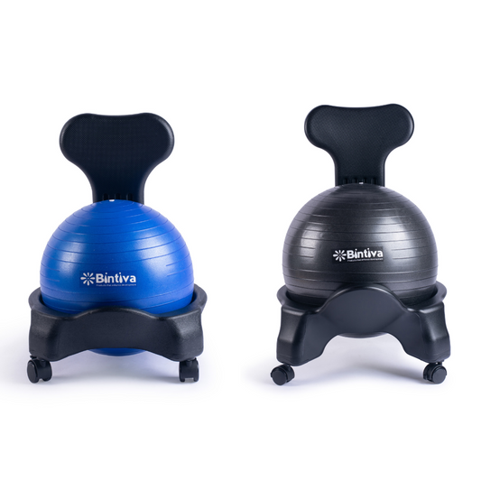 Stability Ball Chair