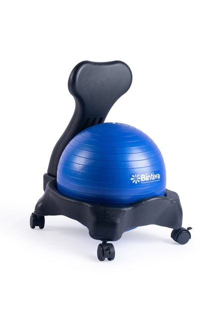 Stability Ball Chair